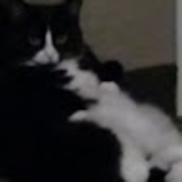 Meet your Posher, Anon - Picture 1 of 1